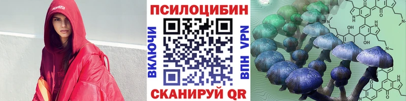 Псилоцибиновые грибы MAGIC MUSHROOMS  продажа наркотиков  Новоржев 